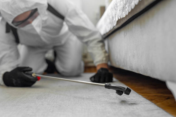 Professional Termite Control technician working in Ada, OH