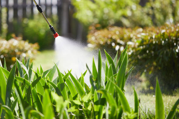 24/7 Emergency Termite Control experts in Ada, OH