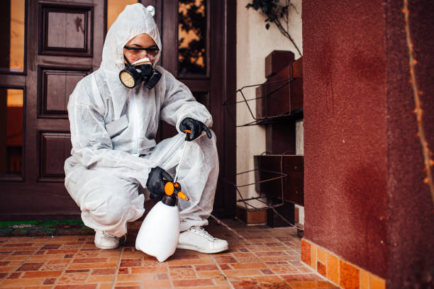 Reliable Termite Control contractor in Ada, OH by Nex Pest Control